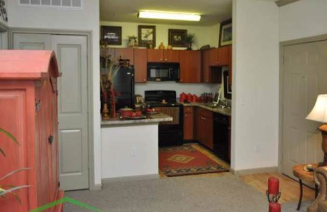 17271 Shavano Ranch Dr Gallery 2