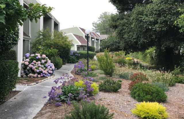 149 Harbor Oaks Cir Gallery 4