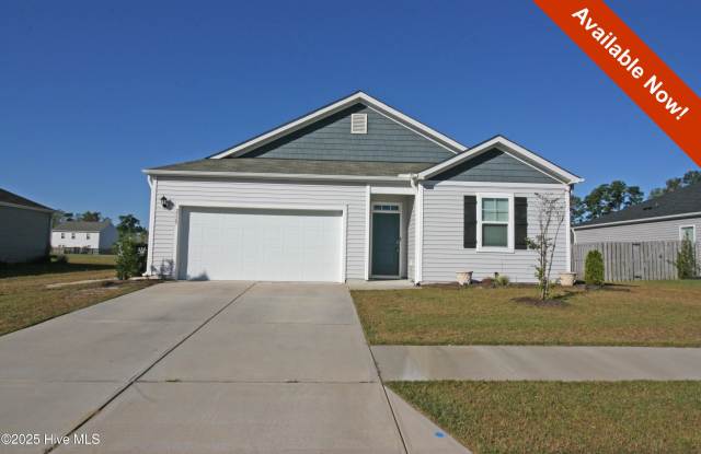 2529 Down Stream Lane - 2529 Down Stream Lane, Wrightsboro, NC 28429