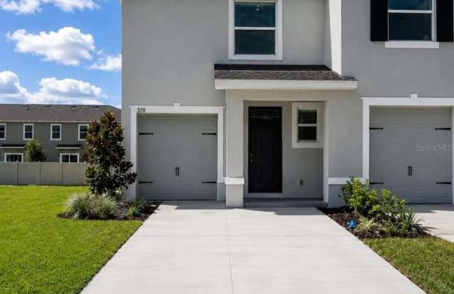 31170 PAPER BIRCH Street Gallery 1