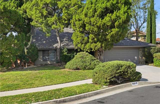 10919 Bismarck photos photos