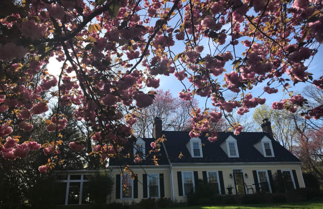 12210 Glen Mill Road - 12210 Glen Mill Road, Travilah, MD 20854