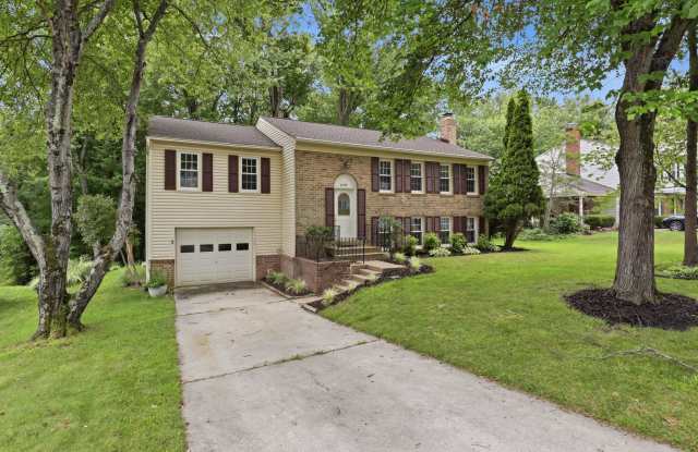 8747 Arley Dr Gallery 4