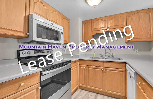 836 Sleepy Hollow Drive - B - 836 Sleepy Hollow Drive, Park County, CO 80421