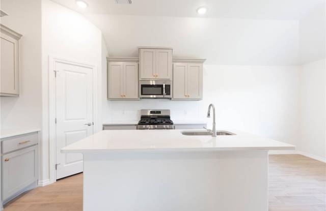 Brand New 4 Bedroom 2 Bath Home in Mustang Schools Gallery 4