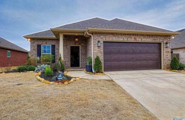 Coming Soon!! photos photos