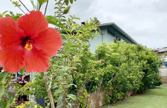 1059 Luehu St - 1059 Luehu Street, Pearl City, HI 96782