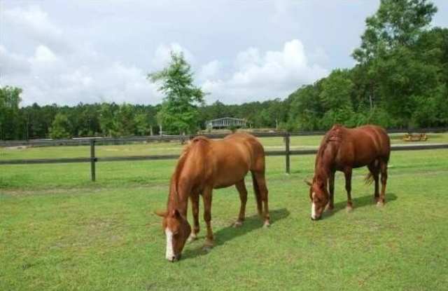 2003 United Drive photos photos