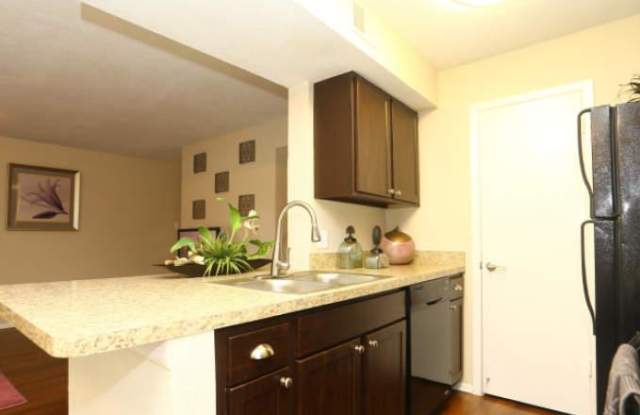3175 Parker Ln Gallery 4