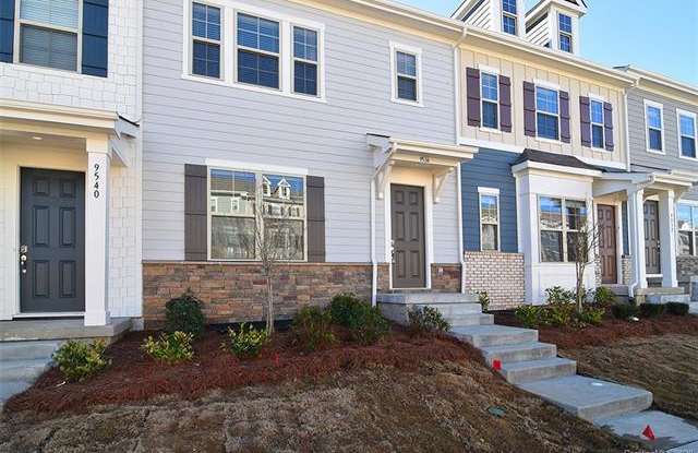 9536 Ainslie Downs Street - 9536 Ainslie Downs St, Charlotte, NC 28273