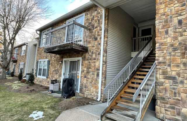 45 CYPRESS Gallery 2