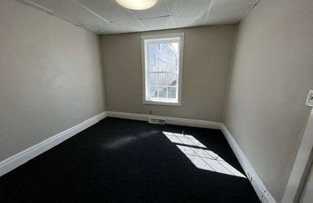 913 Niagara Street - Lower Rear Gallery 3