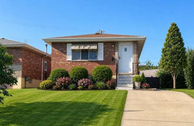 3969 Germania Street - 3969 Germania Avenue, St. Louis, MO 63116
