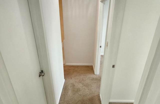 2939 SHEPPERTON Terrace Gallery 3