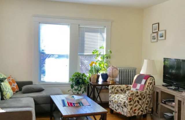 13 Shepard St 2 Gallery 2