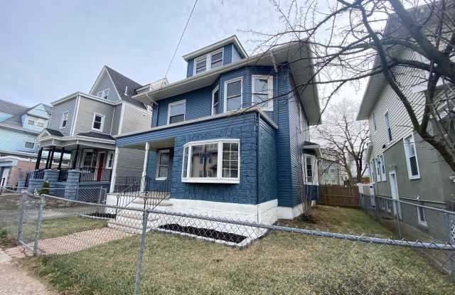 12 Montrose Street photos photos