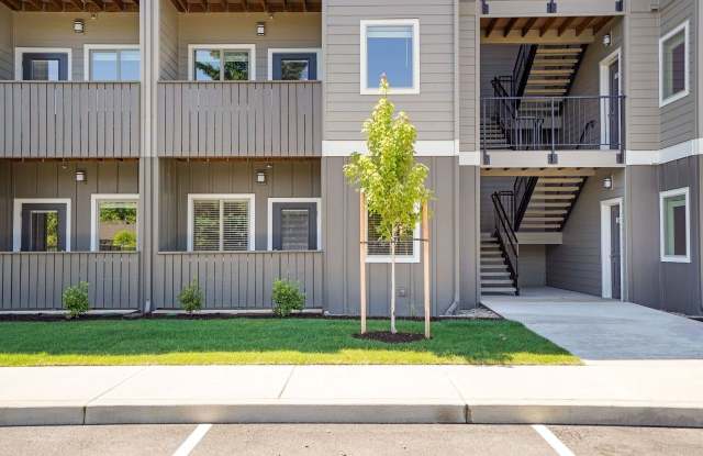 Spring Woods photos photos