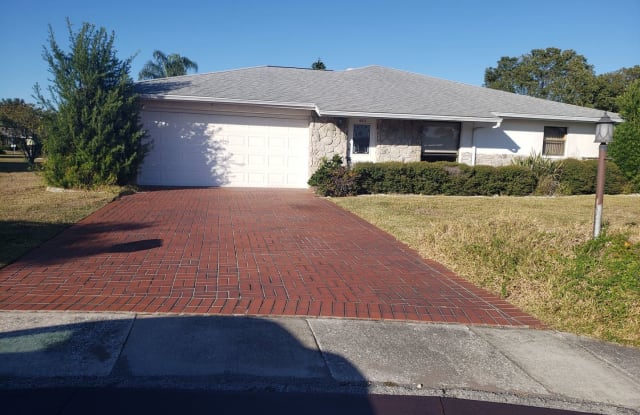 1803 Pineapple Palm Ct - 1803 Pineapple Palm Ct, Sun City Center, FL 33573