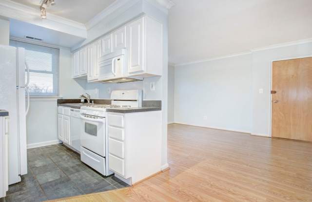 Bright 1 Bed/1 Bath in Hill East! Parking + Storage Included photos photos
