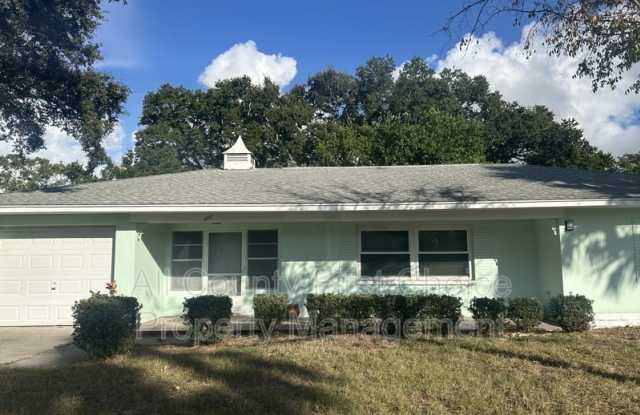 777 Marjon Ave - 777 Marjon Avenue, Dunedin, FL 34698