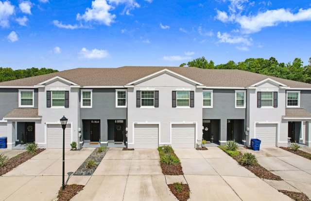 Incredible 3BD/2.5BTH Townhome in Wesley Chapel! photos photos