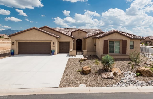 31593 S Misty Basin Road - 31593 South Misty Basin Road, Pinal County, AZ 85623