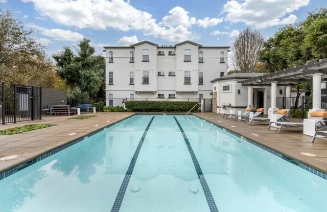 Renaissance photos photos