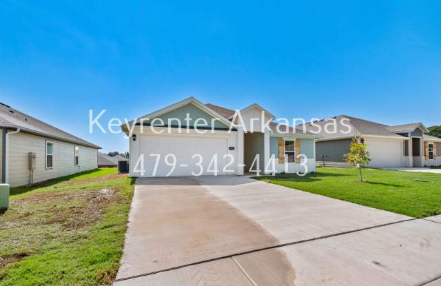 Beautiful, Brand New 4/2 in Gentry! Gallery 3