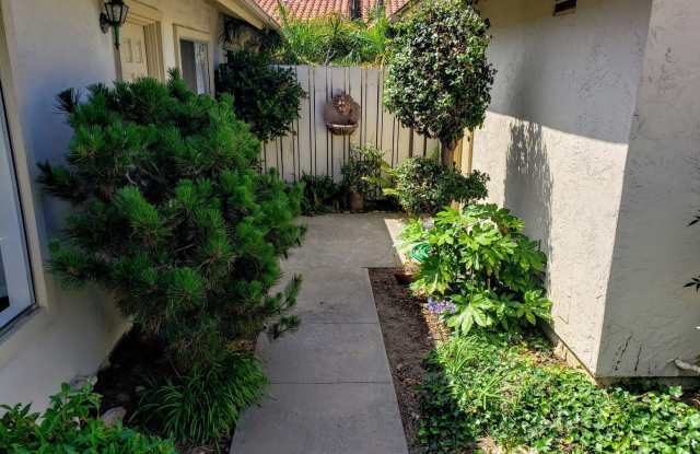 6418 Camino Del Parque Gallery 2