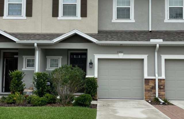 1061 Amber Leaf Trl, Wesley Chapel, FL 33544 photos photos