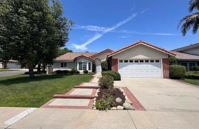 1299 Dogwood photos photos 1299 Dogwood photos photos