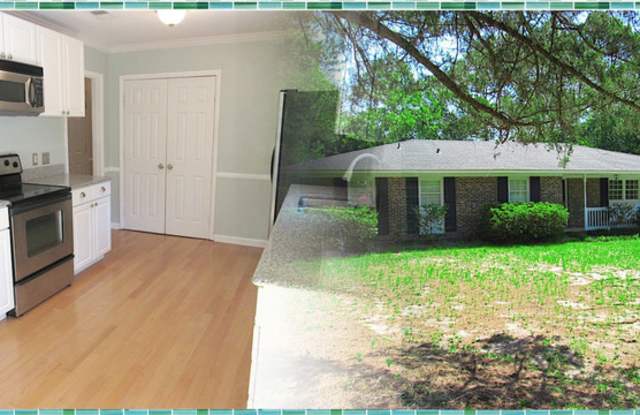 317 Spartan Rd - 317 Spartan Road, Wilmington, NC 28405
