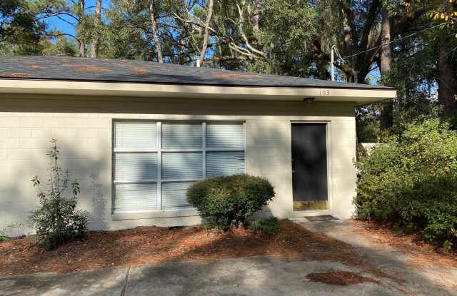 103 E Mills Avenue - 103 East Mills Street, Hinesville, GA 31313