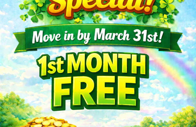 Charming One-Bedroom, One-Bathroom Apartment in Savannah photos photos Charming One-Bedroom, One-Bathroom Apartment in Savannah photos photos