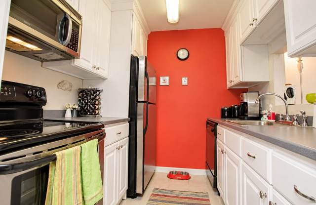 141 Savin Hill Avenue Gallery 4