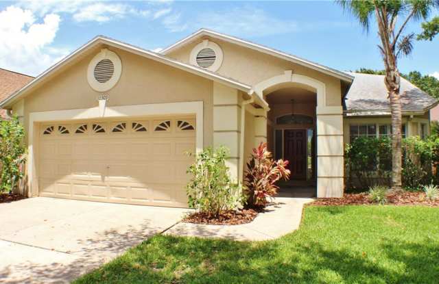 10309 SPRINGROSE DRIVE - 10309 Springrose Drive, Westchase, FL 33626