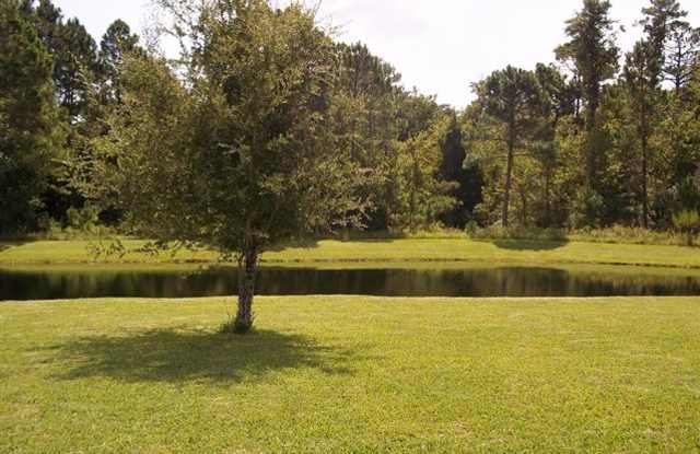 11243 Cypress Trail Gallery 3