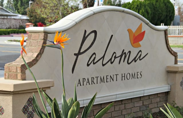 Paloma Gallery 1