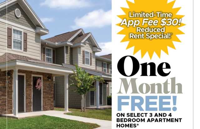 Cove at Lady Lake photos photos