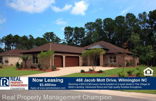 468 Jacob Mott Drive - 468 Jacob Mott Drive, Silver Lake, NC 28412
