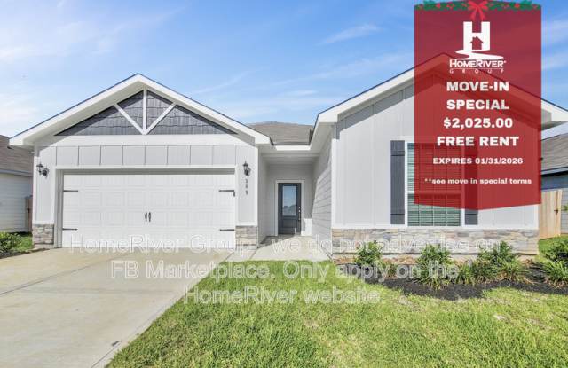 305 Grayson Baw Ln - 305 Grayson Baw Lane, Waller County, TX 77484