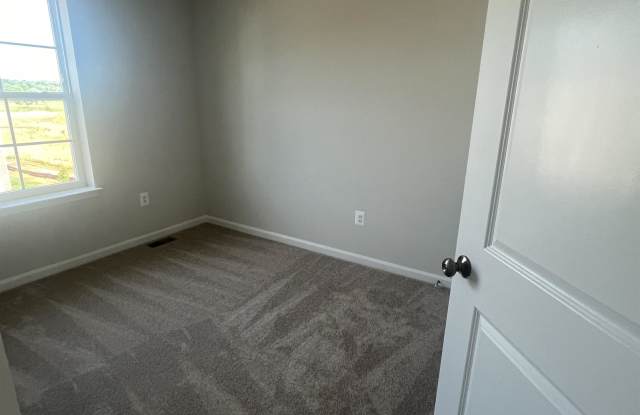 248 Telluride Way - 1 Gallery 4
