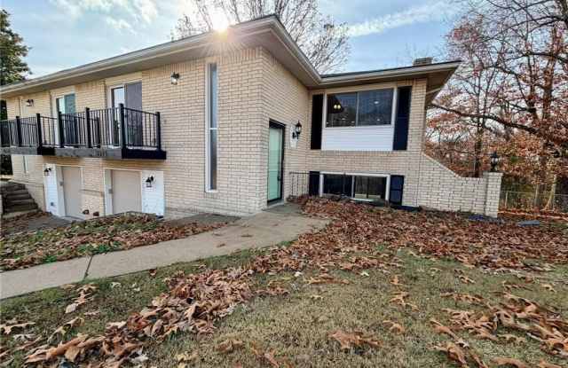 14911 Dutchmans  DR photos photos