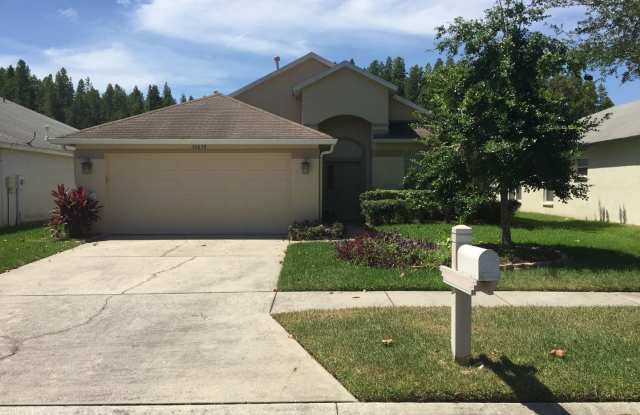 30638 Nickerson Loop - 30638 Nickerson Loop, Wesley Chapel, FL 33543