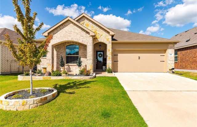 214 Autumn Sage Lane - 214 Autumn Sage Lane, Collin County, TX 75407