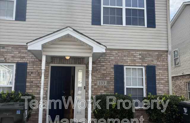 133 Pine Shadow Drive - 133 Pine Shadow Drive, Berkeley County, SC 29445 133 Pine Shadow Drive - 133 Pine Shadow Drive, Berkeley County, SC 29445