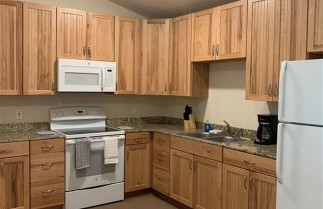 117 Gillespie - 117 Gillespie Ln, Aransas Pass, TX 78336