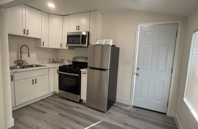 316 6th Street #3 - Fully Remodeled! Gallery 2