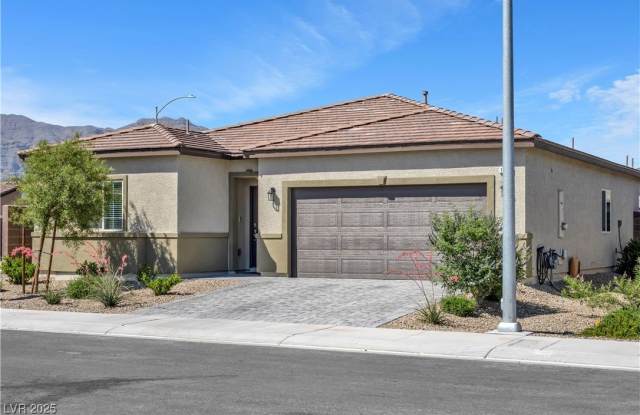 1724 Viola Falls Street photos photos