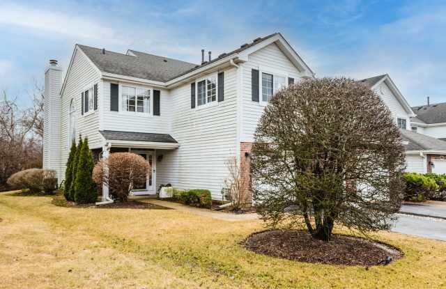 8257 Ripple Ridge Drive - 8257 Ripple Ridge, Darien, IL 60561